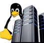 fully managed linux hosting